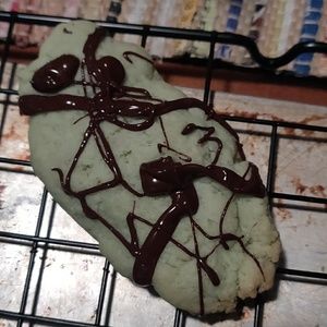 Meet your Posher, Jodi